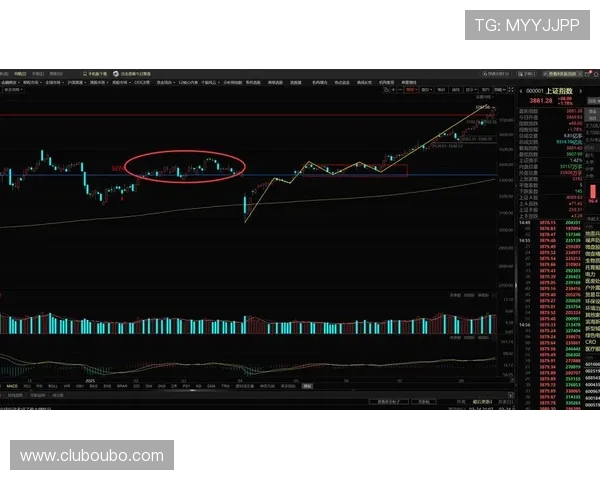 欧博游戏平台怎么样：支付方式多样性与资金安全保障分析